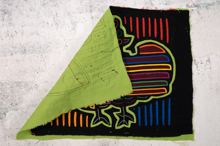 Rainbow Wing Optical Illusion Bird Mola