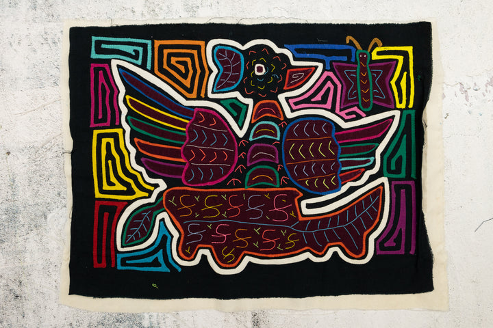 Condor Bird Mola