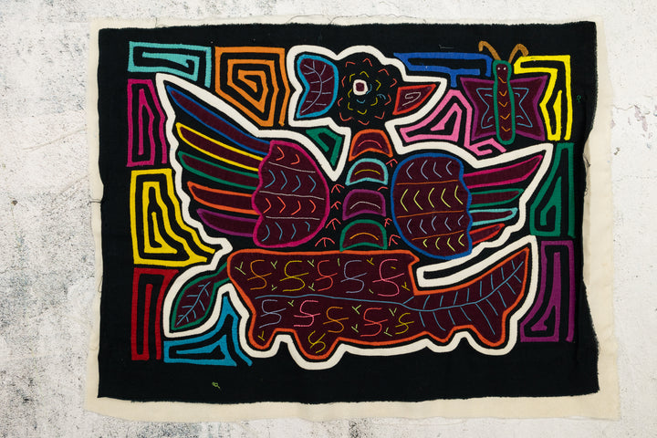 Condor Bird Mola