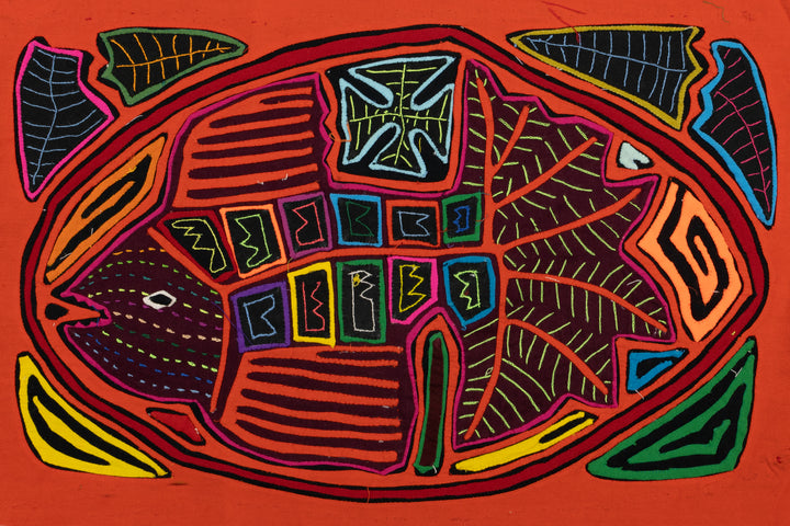 Tropical Fish Mola