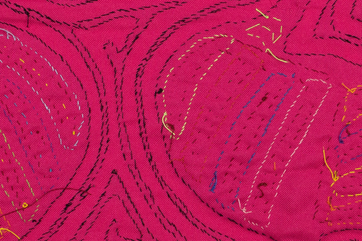 Pink Goose Panama Mola
