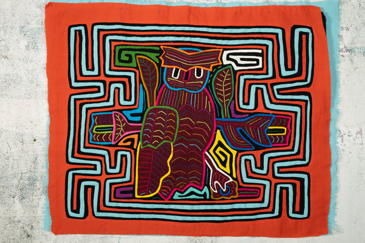 Hoot Owl Bird Mola