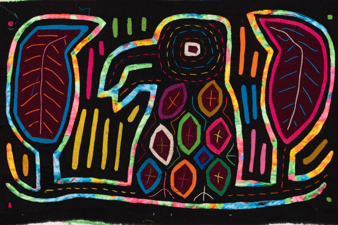 Rainbow Bird Mola