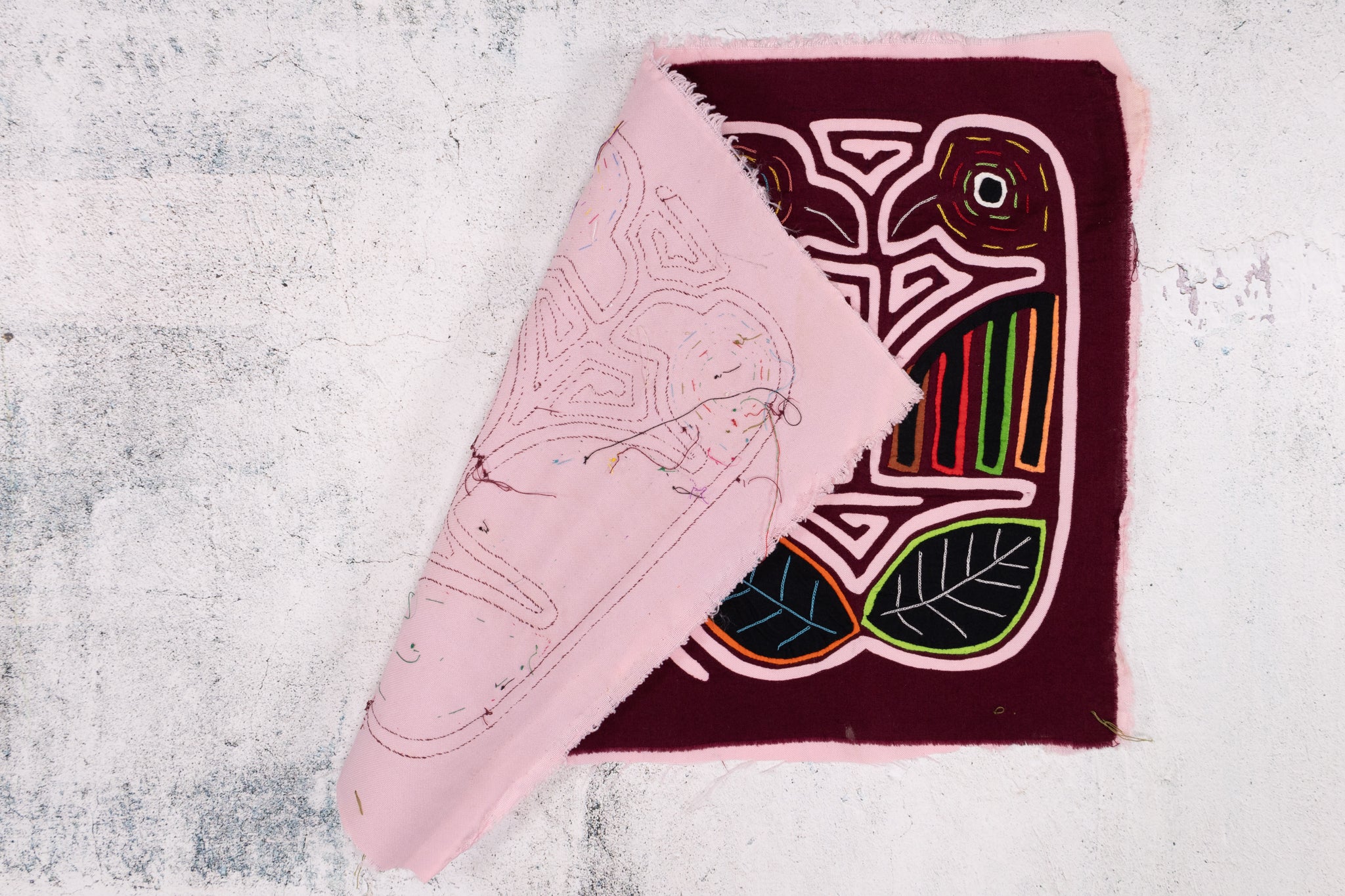 Maroon Lovebird Mola