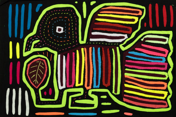 Rainbow Rainforest Bird Mola