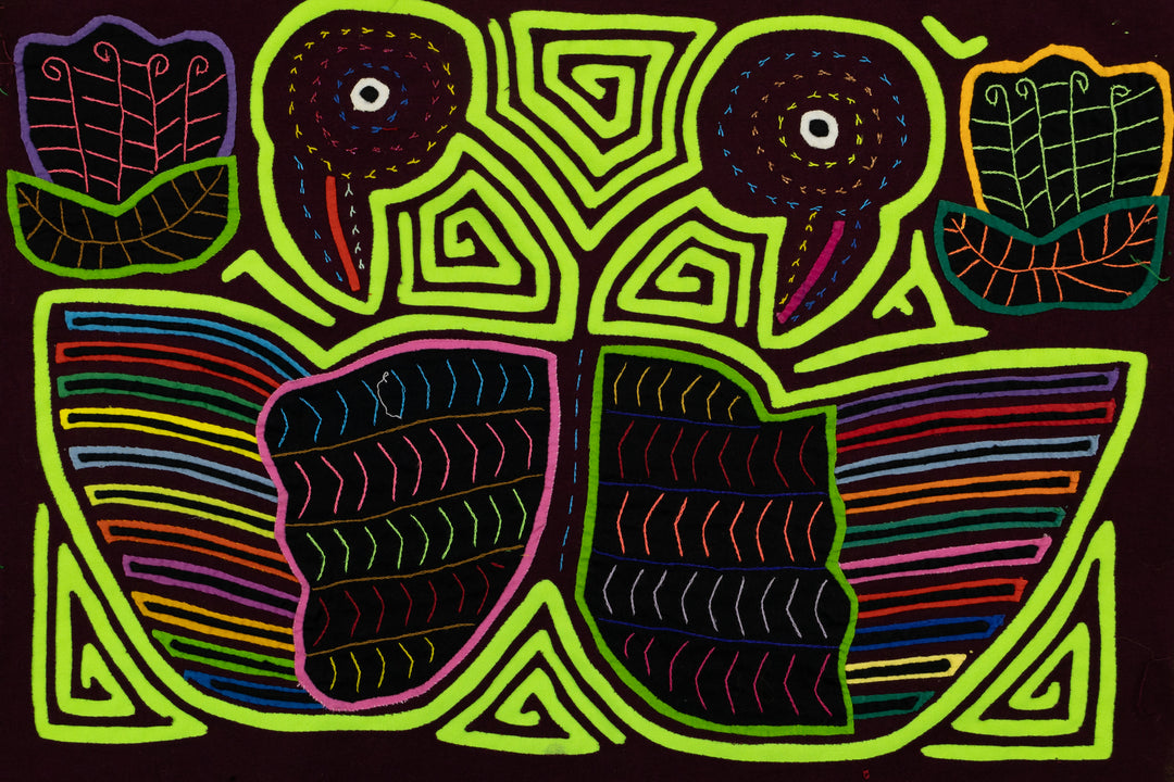 Coy Lovebird Mola