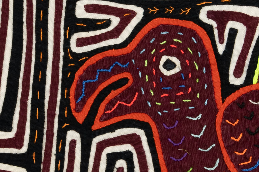 Lost Dodo Bird Mola