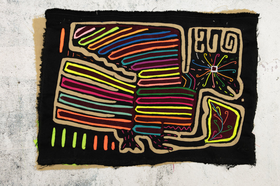 Rainbow Roadrunner Mola