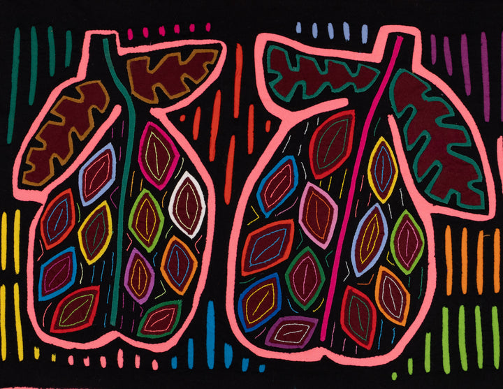 Pink Rainbow Mango Fruit Mola