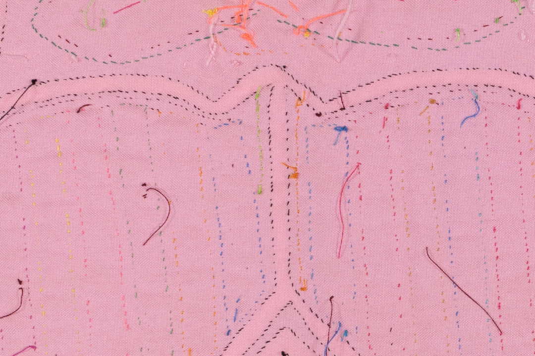 Rainbow Pink Goose Bird Mola