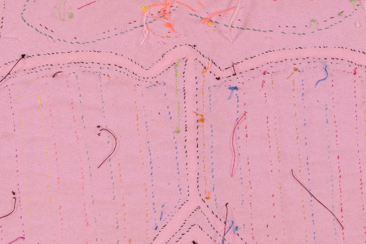 Rainbow Pink Goose Bird Mola