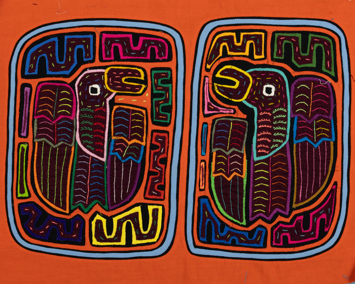 Orange Parrot Bird Mola
