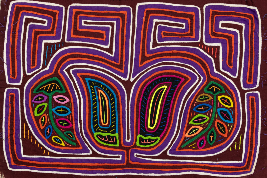 Legume Bloom Mola