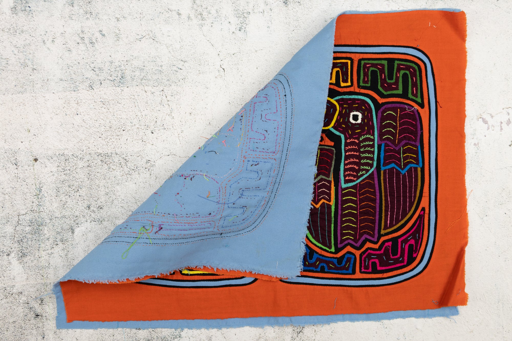 Orange Parrot Bird Mola