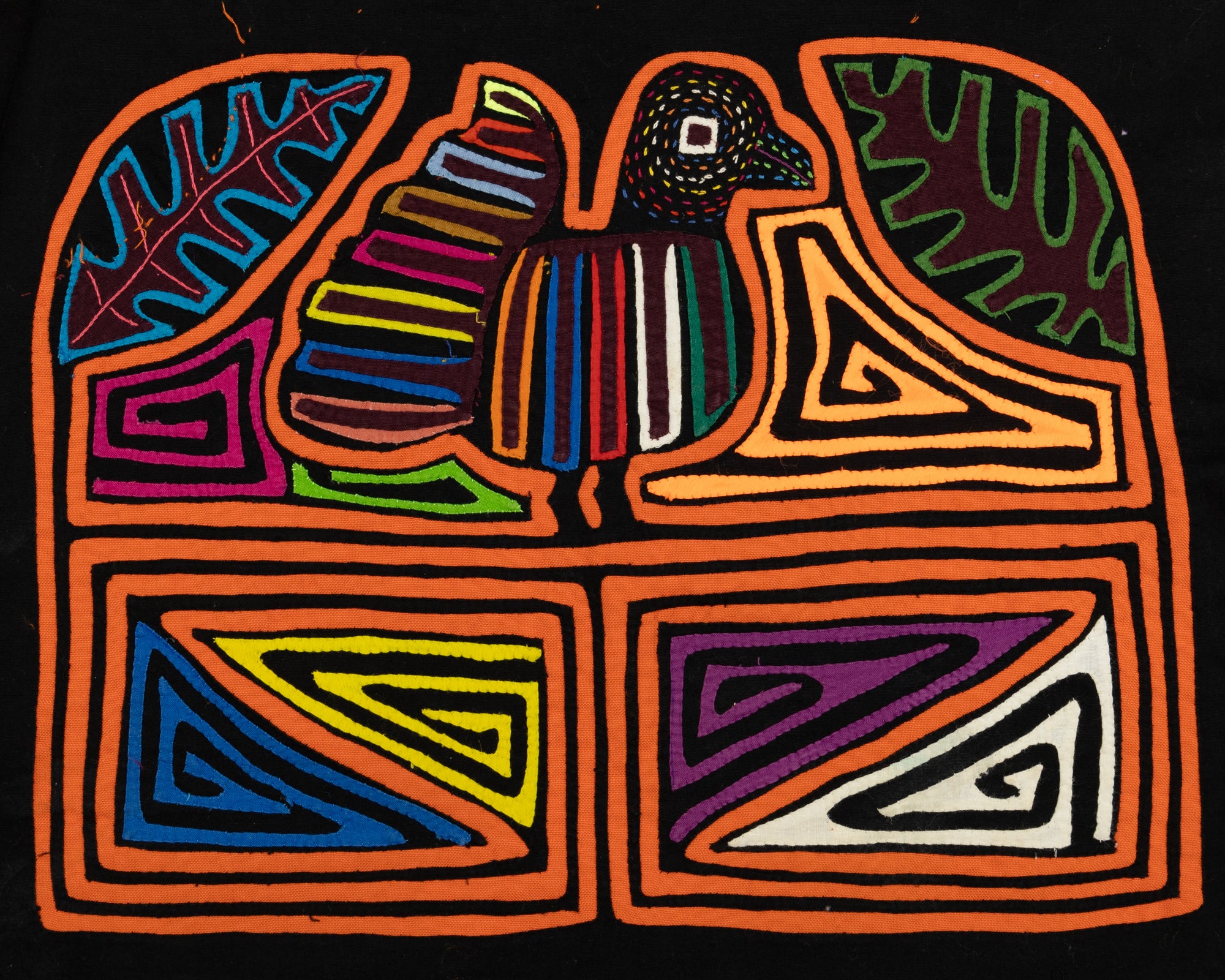 Rainbow Pigeon Bird Mola