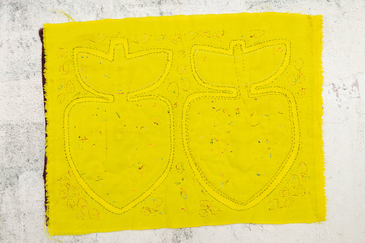Apple Fruit Pear Mola