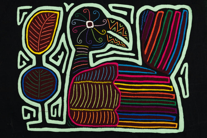 Rainforest Rainbow Bird Mola+
