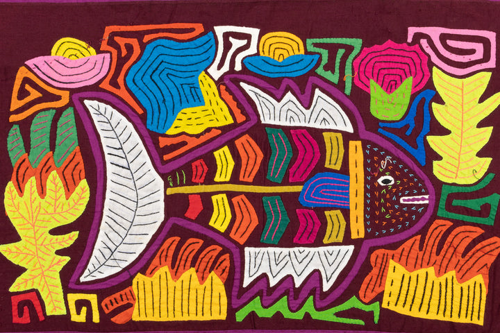 Tropical Rainbow Trout Mola