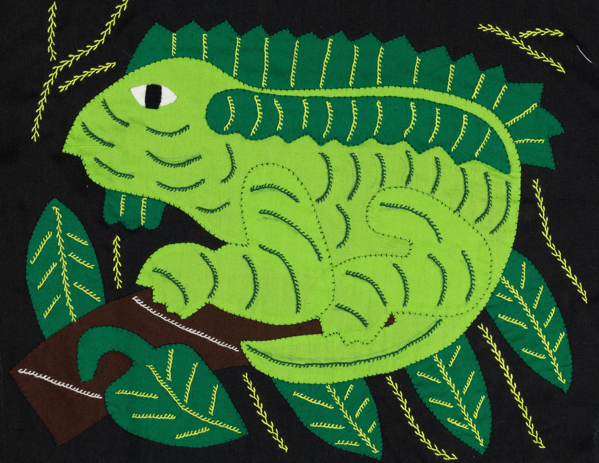 Green Iguana Molita