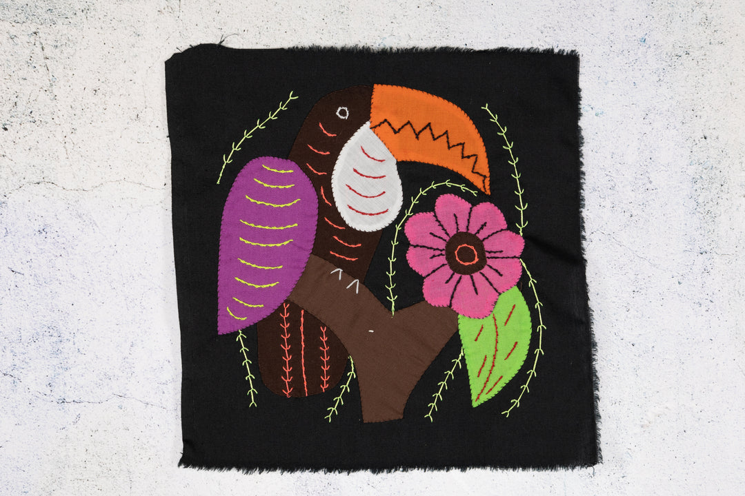 Brown And Purple Toucan Parrot Bird Molita