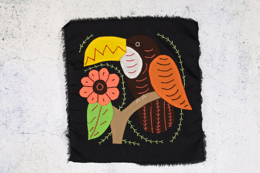 Brown and Orange Toucan Parrot Bird Molita