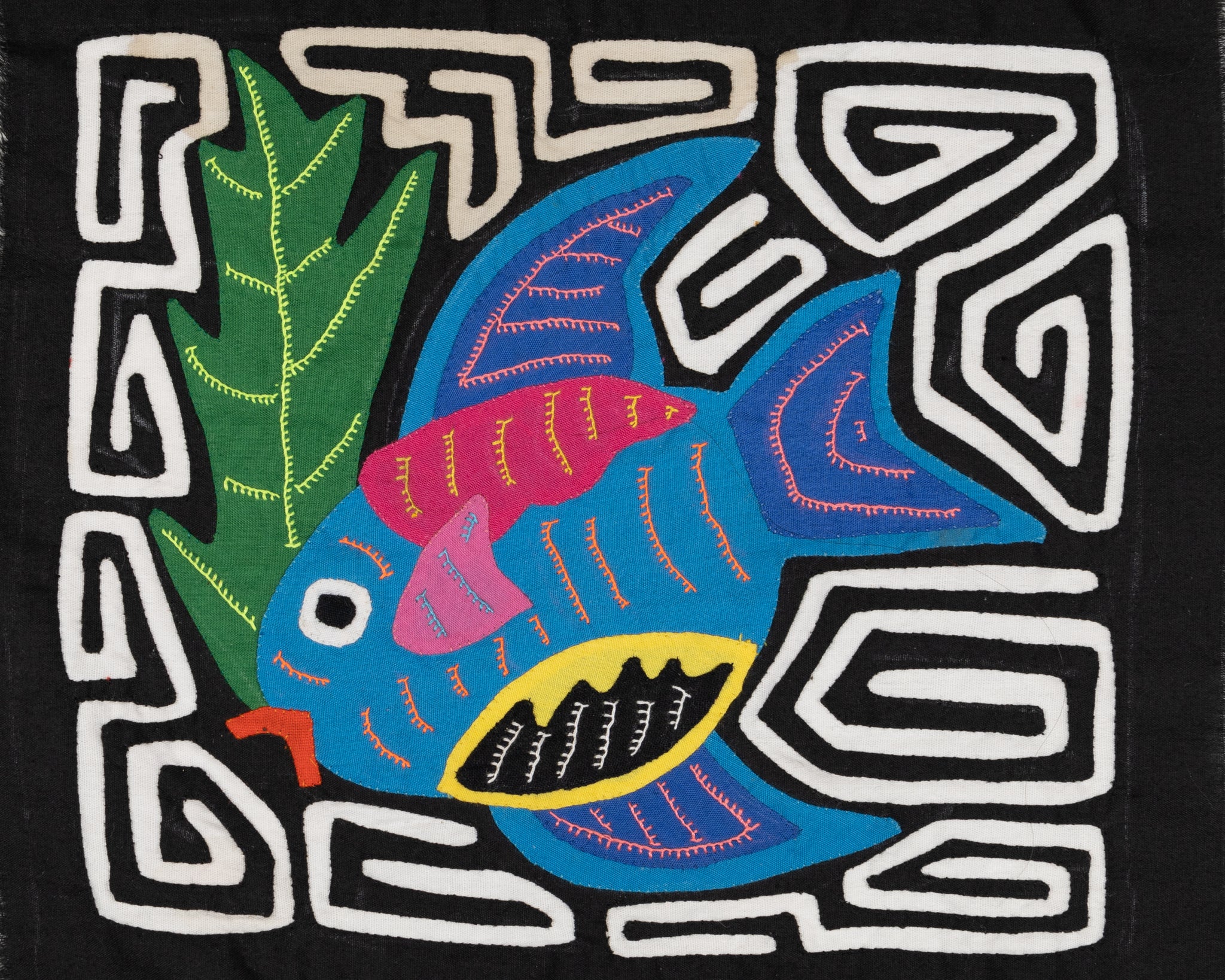 Rainbow Tropical Fish Black and White Background Molita