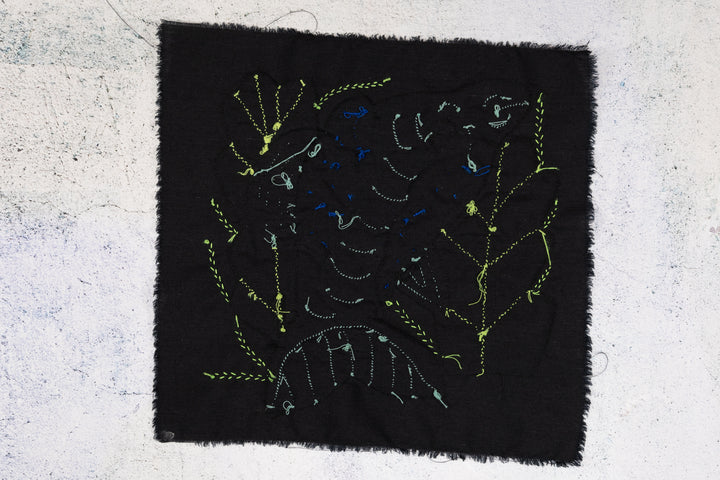 Blue Dolphin Among Ferns Molita