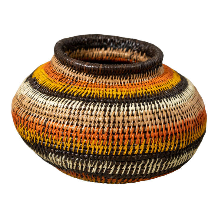Rings of Fire Jungle Rainforest Basket