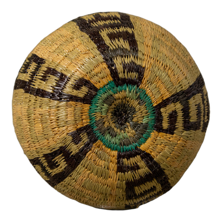Unusual Greek Key Design Rainforest Basket