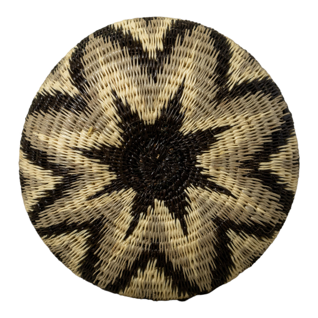 Ocean Waves Rainforest Basket