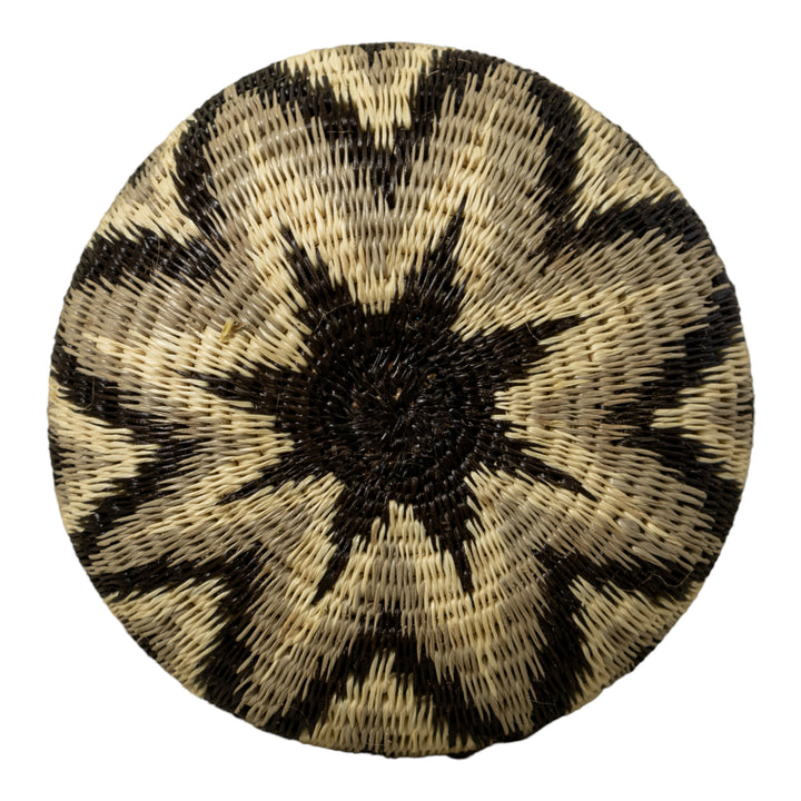 Ocean Waves Rainforest Basket