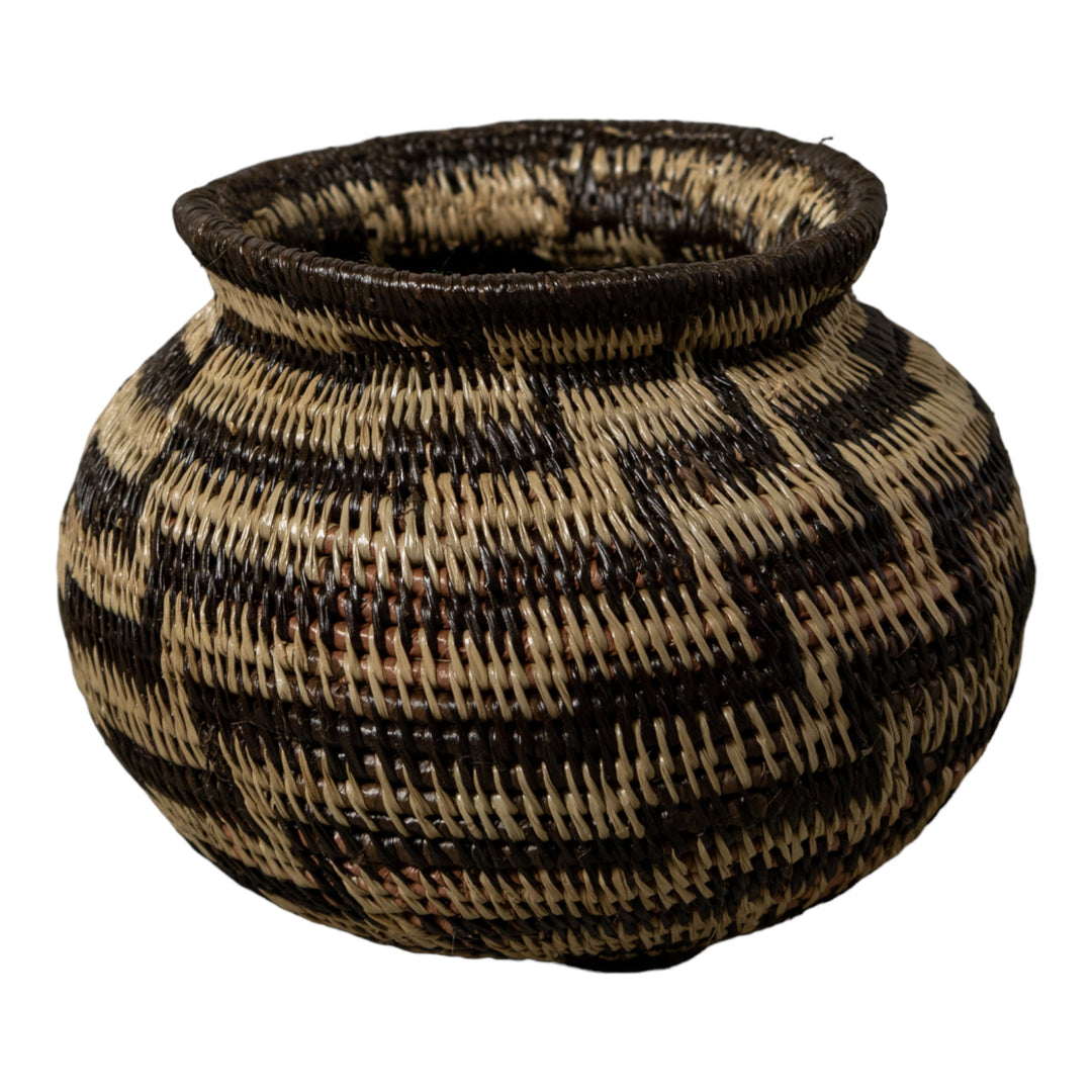 Black And Brown Sanke Spiral Rainforest Basket