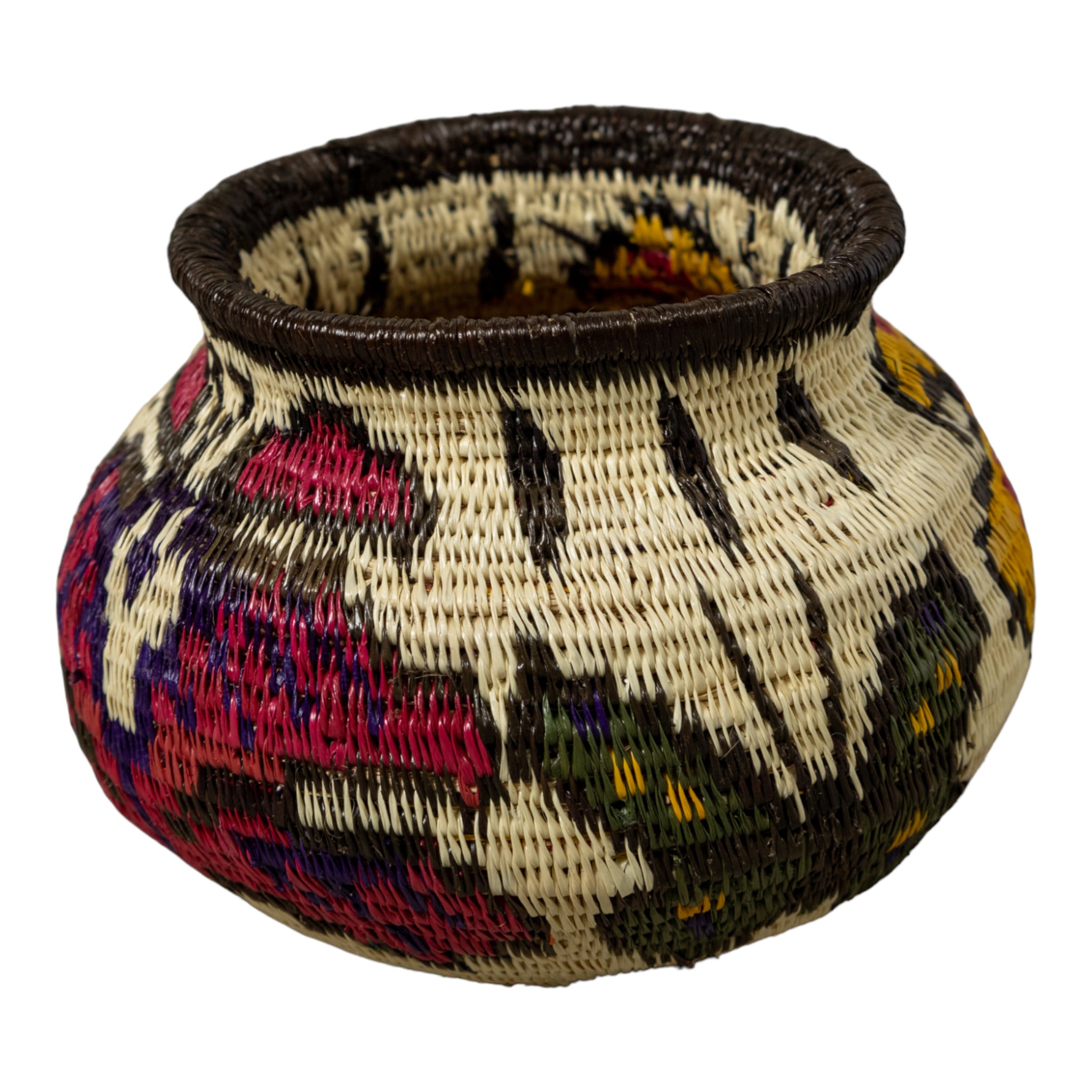 Multi-Color Butterfly Rainforest Basket