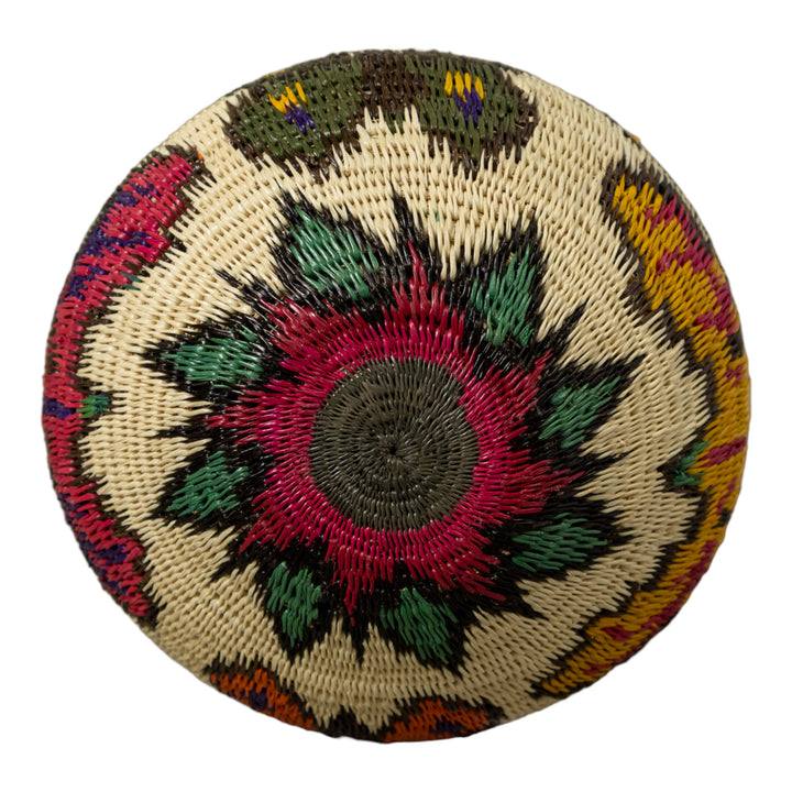 Multi-Color Butterfly Rainforest Basket