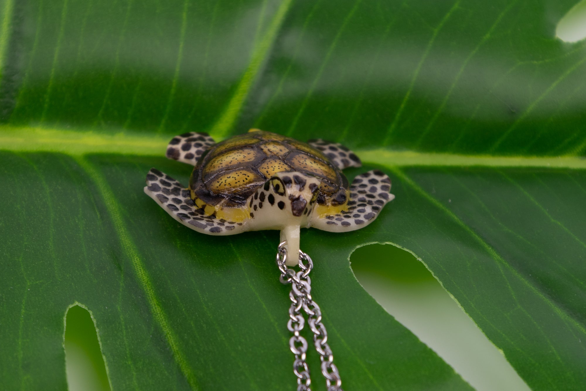 Sea Turtle Tagua Necklace