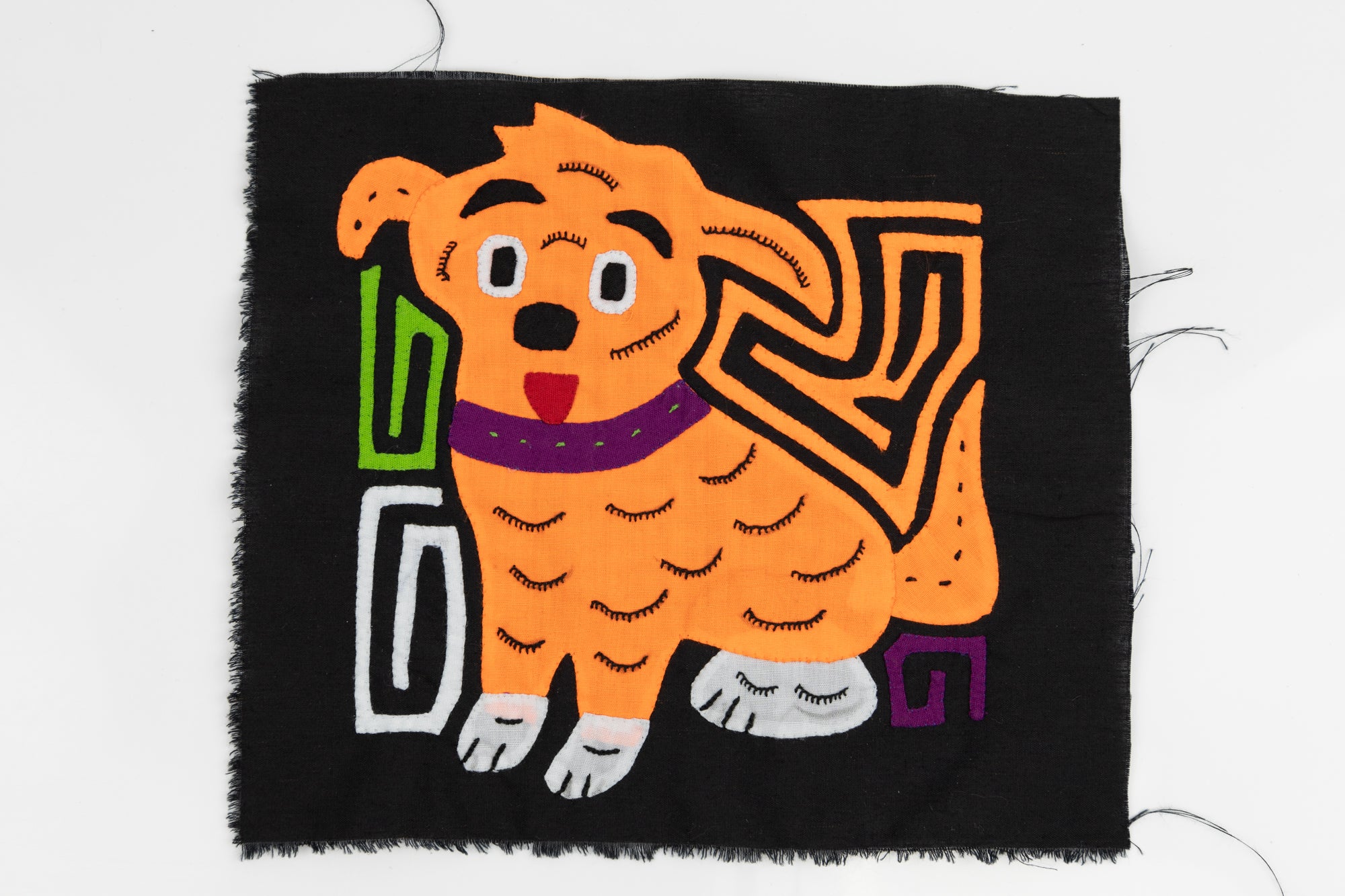 Orange Puppy Dog Panama Molita