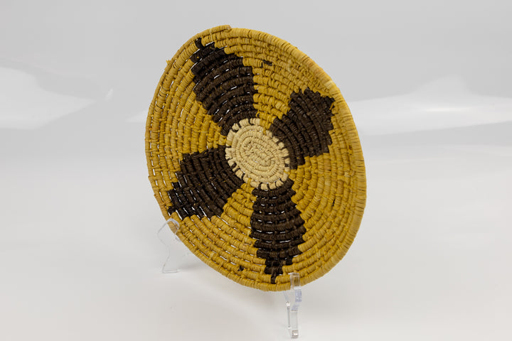 Gold, brown and white. Hand woven plate basket from Panama. Sambu village near Colombia.