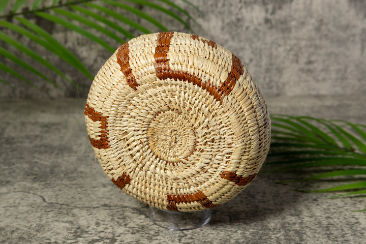 Rainforest Vintage Basket