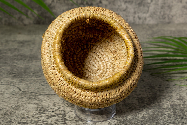 Rainforest Vintage Basket
