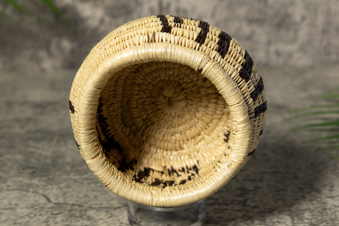 Black and White Rainforest Vintage Basket