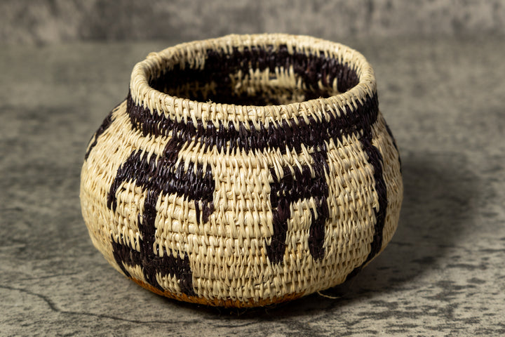 Black Gold and White Rainforest Vintage Basket