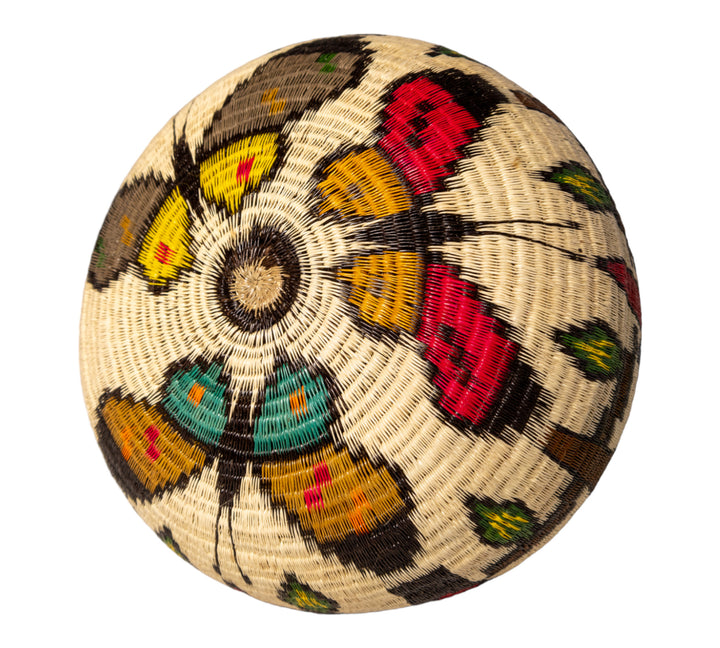 Toucan Parrot Macaw Quetzal Rainforest Basket