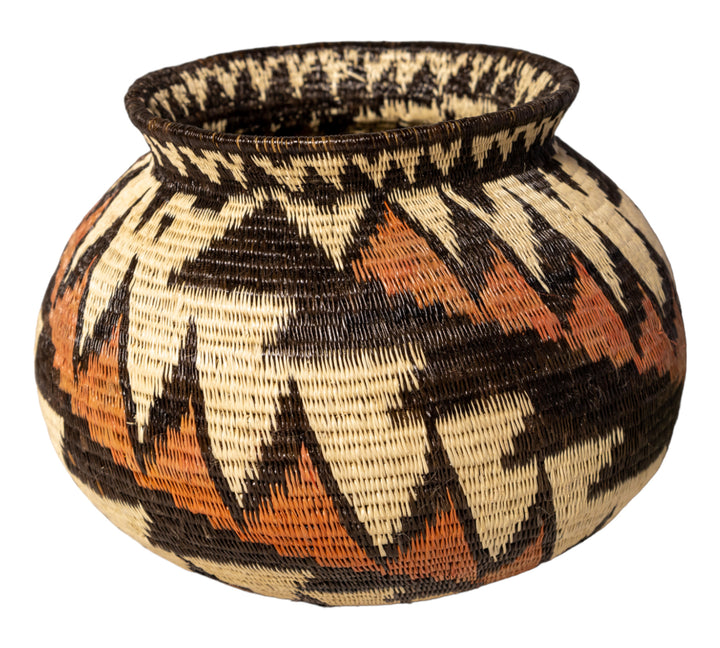 Lightning Flash Rainforest Basket