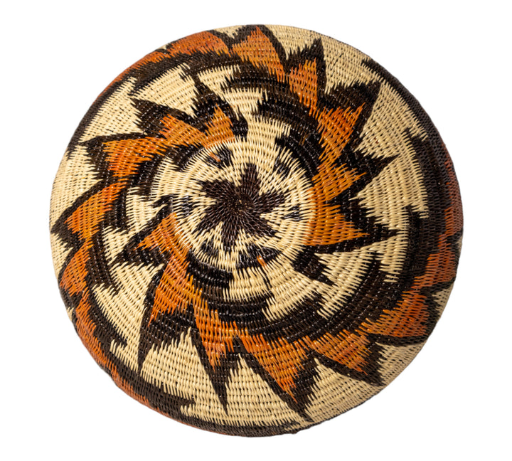 Lightning Flash Rainforest Basket