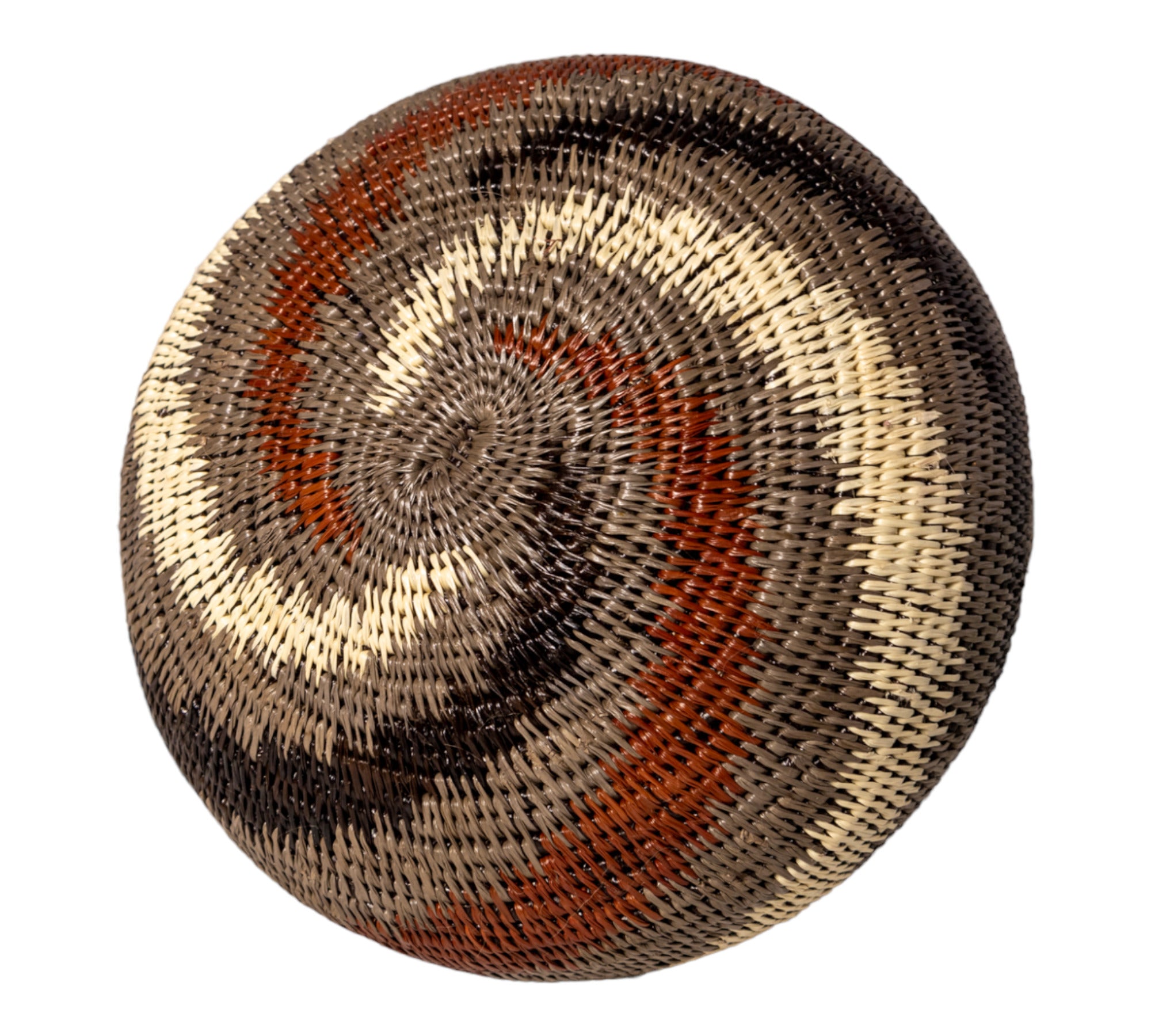 Spinning Tornado Rainforest Basket