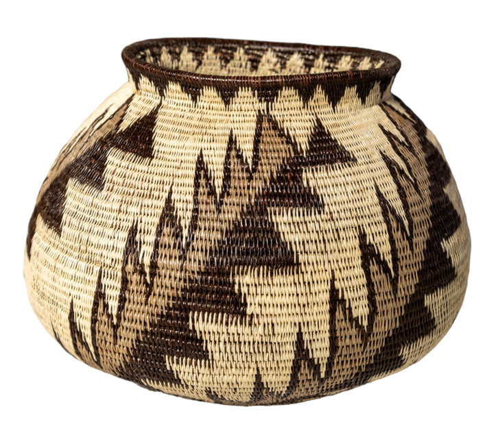Lightning Bolts Rainforest Basket