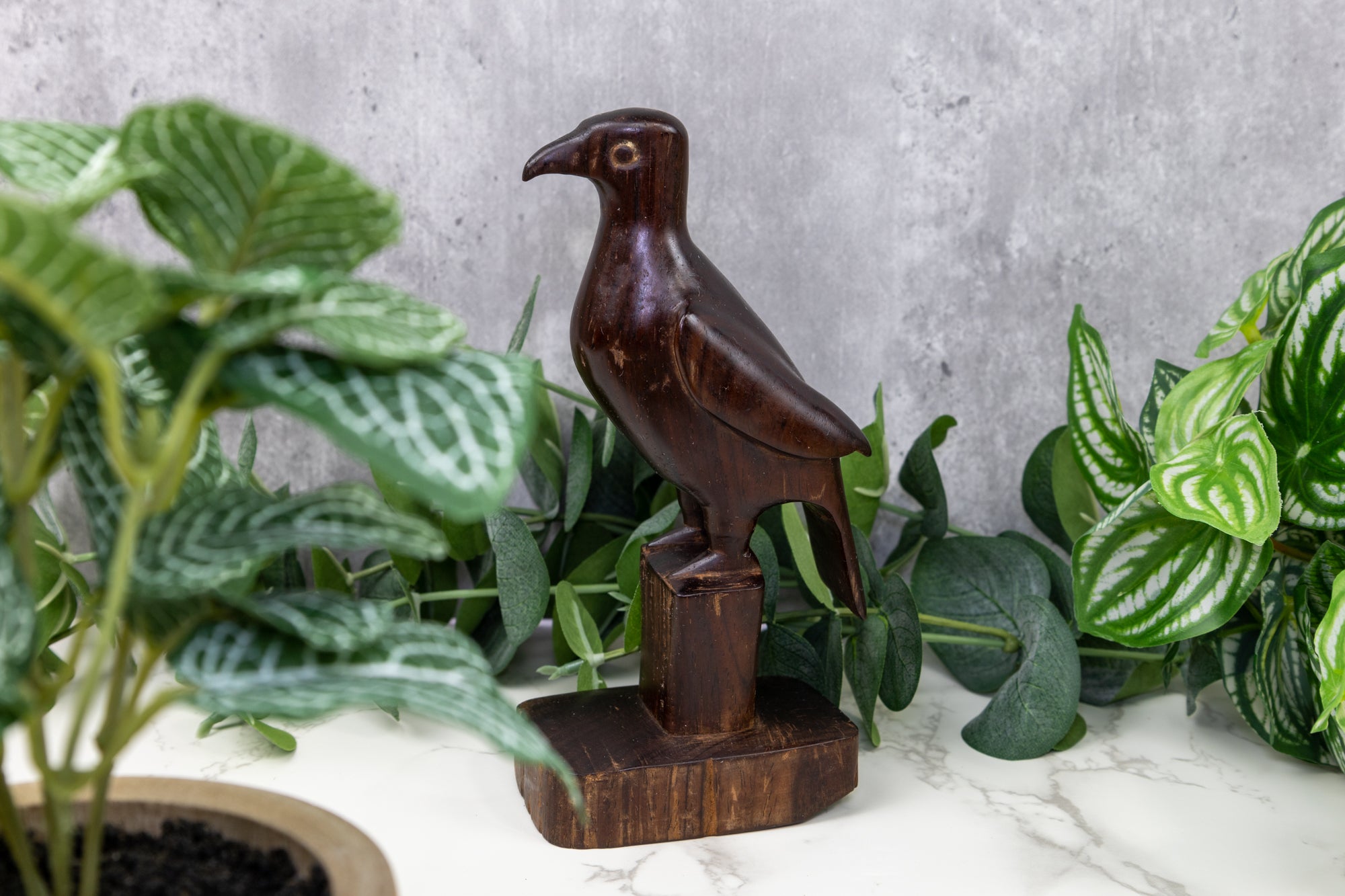 Jungle Bird Wood Carving