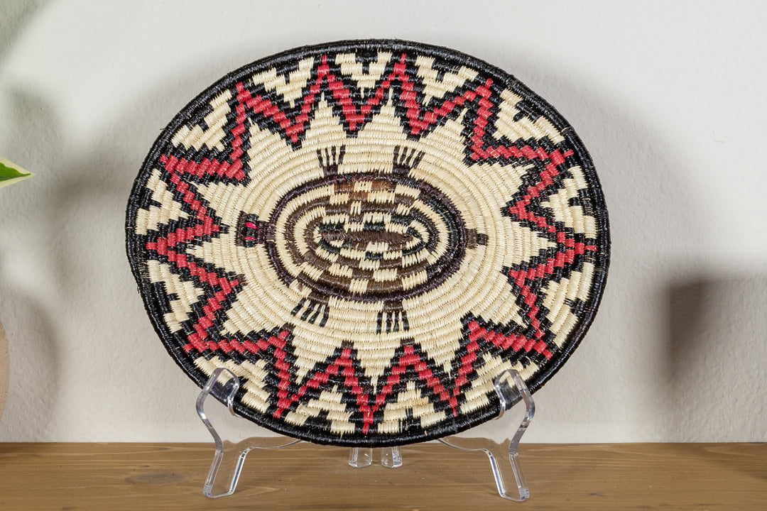 Red Eye Tortoise Basket Plate