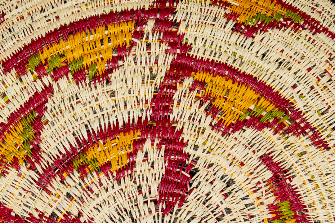 Bird of Paradise Flower Basket Plate