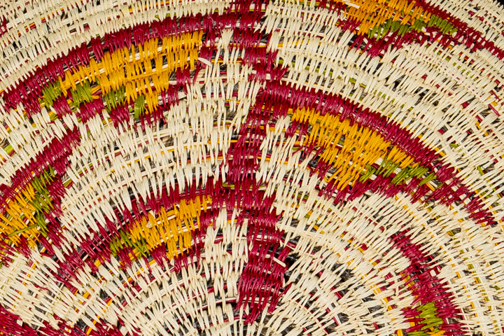 Bird of Paradise Flower Basket Plate